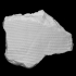 Lepidodendron Fossil image