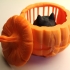 Boo Cat in Pumpkin Jail image