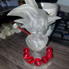Picture of print of Goku kid
