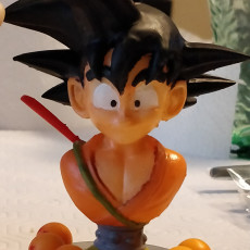 Picture of print of Goku kid