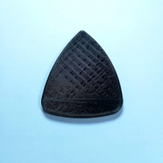 Picture of print of .31 Guitar Pick