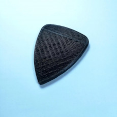 Picture of print of .31 Guitar Pick