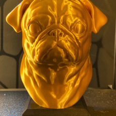 Picture of print of Pug Statue