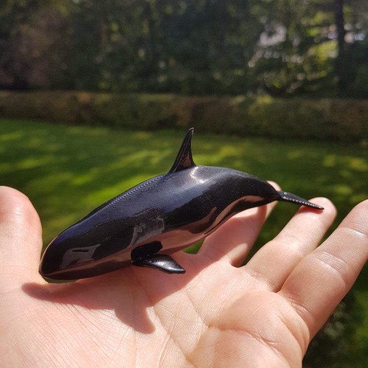 orca 3d for rhino free download