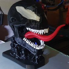 Picture of print of Venom skull with base