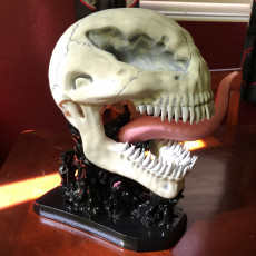 Picture of print of Venom skull with base