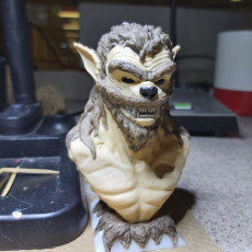 Picture of print of Werewolf bust