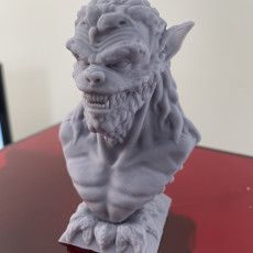 Picture of print of Werewolf bust This print has been uploaded by Eddie O