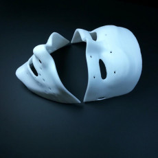 Picture of print of Purge Election Year Style Mask