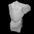 Trilobite - Pygidium image