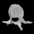 Mammuthus primigenius image