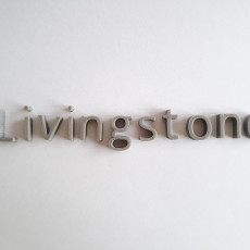 Picture of print of livingstone