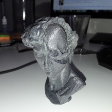 Picture of print of David's Cranium This print has been uploaded by Olivier