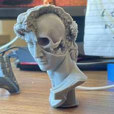 Picture of print of David's Cranium This print has been uploaded by John M