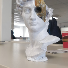Picture of print of David's Cranium This print has been uploaded by Çağrı Mert