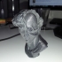 David's Cranium print image