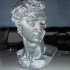 David's Cranium print image