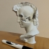 David's Cranium image