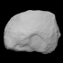 Coral - Heliolites image