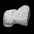 Mammoth phalanx of left 1st digit image