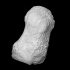 Mammoth pisiform bone image