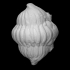 Trilobite - Calymene image