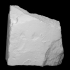 Trilobite - Dalmanites myops image