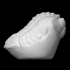 Trilobite - Phacopid image