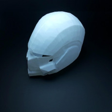 Picture of print of Destiny Swordflight Helmet This print has been uploaded by Li Wei Bing