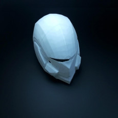 Picture of print of Destiny Swordflight Helmet This print has been uploaded by Li Wei Bing