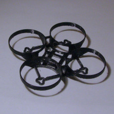 Picture of print of Brushless Mighty Whoop