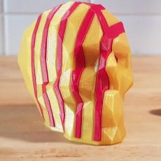 Picture of print of Interlocking Low-Poly Skulls This print has been uploaded by fab 2 fab