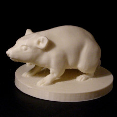 Picture of print of Rat This print has been uploaded by Vaclav Krmela