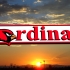 Cardinals Banner image