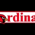Cardinals Banner image
