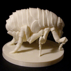 Picture of print of monster Flea