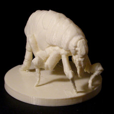Picture of print of monster Flea