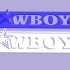 Cowboys Banner Logo image