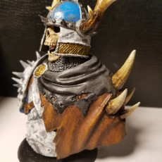 Picture of print of Razduun - Undead Lord