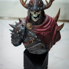 Picture of print of Razduun - Undead Lord