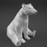 Christmas Polar Bear image
