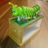 Nemoriko´s : Little motley Caterpillar image