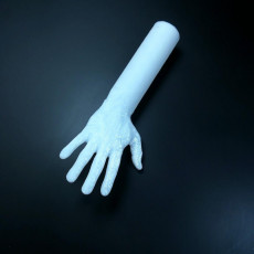 Picture of print of Lego Hand