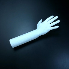 Picture of print of Lego Hand