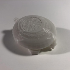 Picture of print of Glowing tortoise