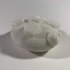 Picture of print of Glowing tortoise