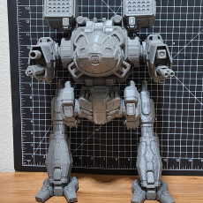 Picture of print of MWO Mad Cat MKII