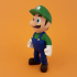Luigi from super Mario bros image