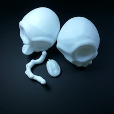 Picture of print of Happy Skull
