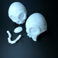 Picture of print of Happy Skull